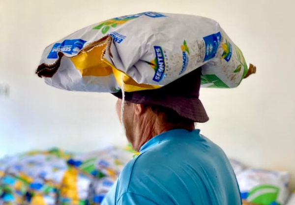 Ribeirópolis fortalece agricultores do Seguro Safra com distribuição de sementes e amplia apoio ao campo